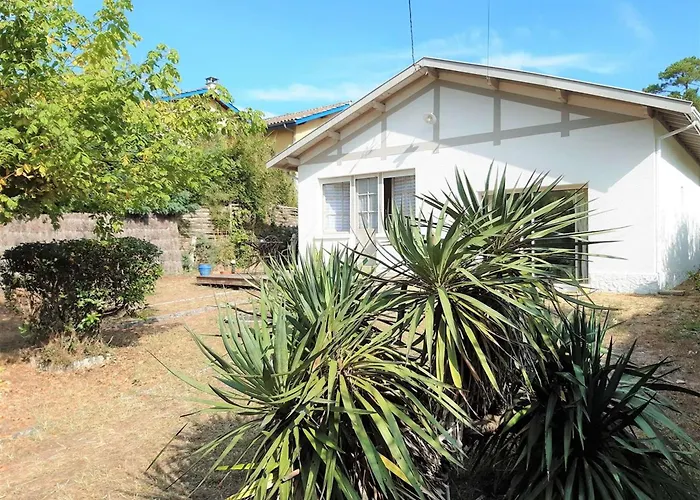 Lumineuse à 300m De La Plage, 5min De L'océan En Vélo, Jardin Et Terrasse, Proche Commerces - Fr-1-736-1 Lège-Cap-Ferret